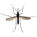 Schädlingsbekämpfung & Insektenschutz gegen Mücken: neocid.swiss