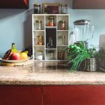 Lebensmittelmotten – die Vorratsschädlinge im Fokus